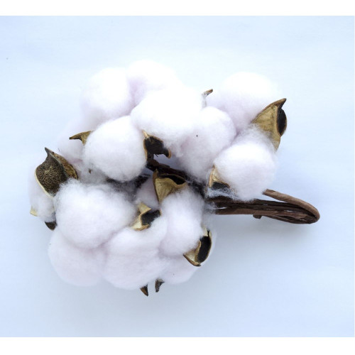 Decorative element Cotton twig 20 cm pack of 4 pcs