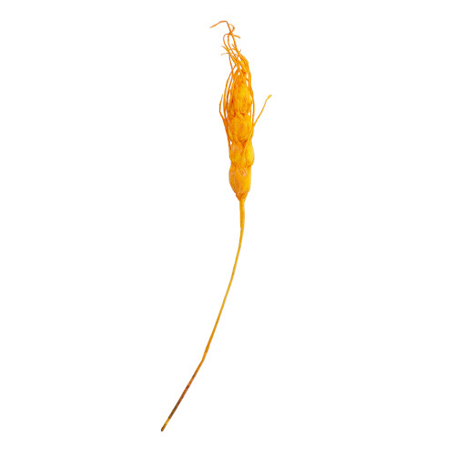 Decorative element 180 mm Orange spikelet 1 pc.