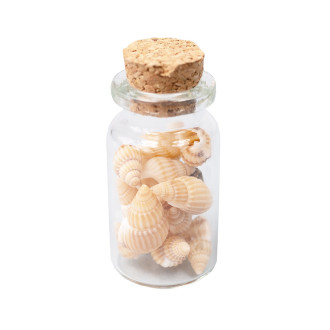 Glass flask 22×40 m with shells, transparent (9 ml) 1 pc.