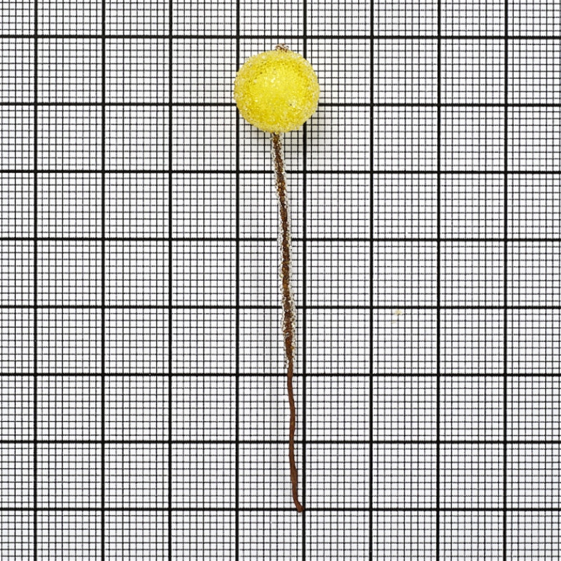 Decorative element 70 mm Berries in sugar yellow and orange 1 pc.