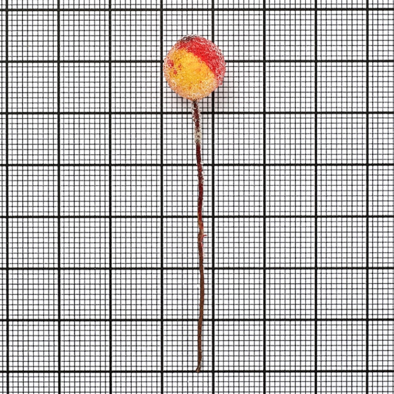 Decorative element 70 mm Berries in sugar yellow and orange 1 pc.
