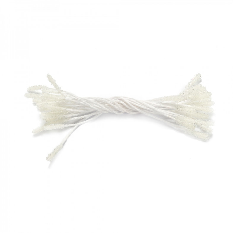 Stamens 65 mm transparent pack of 20 pcs.