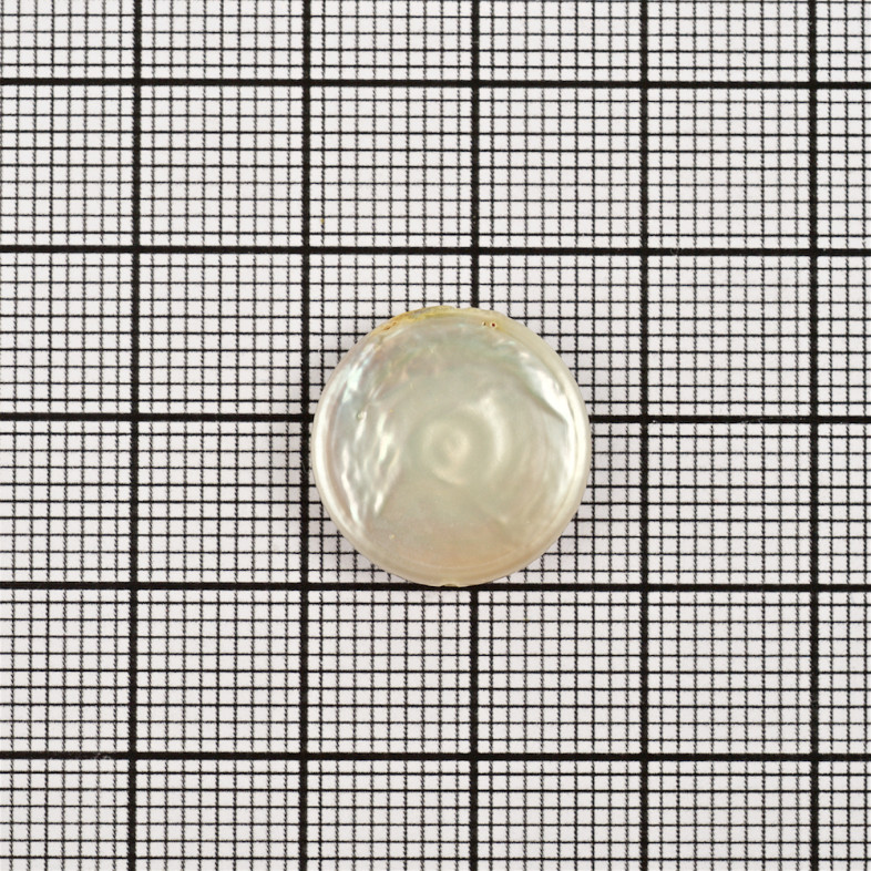 Perła rzeczna 15-20 mm płaska w kolorze srebrnym 1 szt