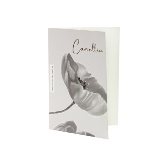 Pocztówka 120x85 mm czerni i bieli Camellia 1 szt