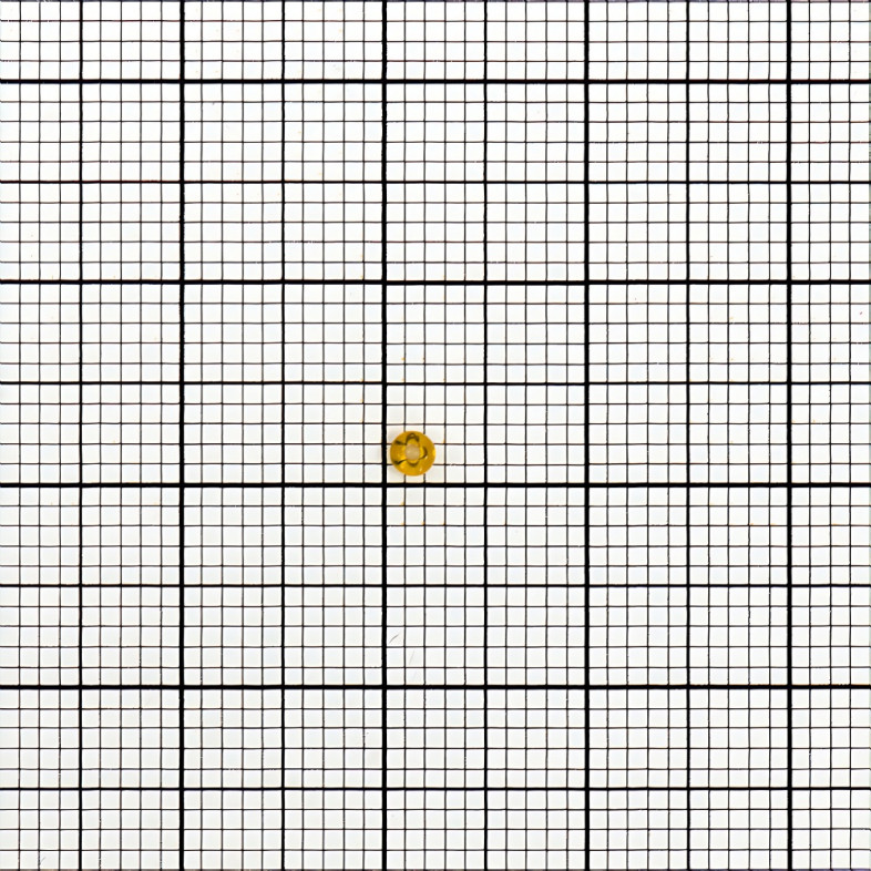 10050 koraliki czeskie "Preciosa" brązowy op.5 gr