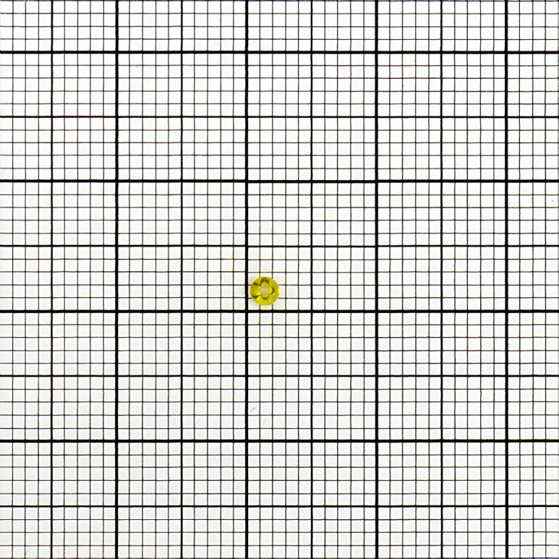 87010 Preciosa Czech beads yellow pack of 5 g