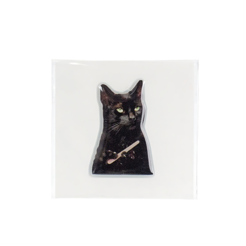 3D sticker Black cat 1 pc.