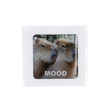 3D sticker Capybara mood 1 pc.