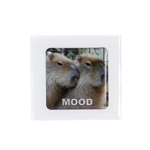 3D sticker Capybara mood 1 pc.