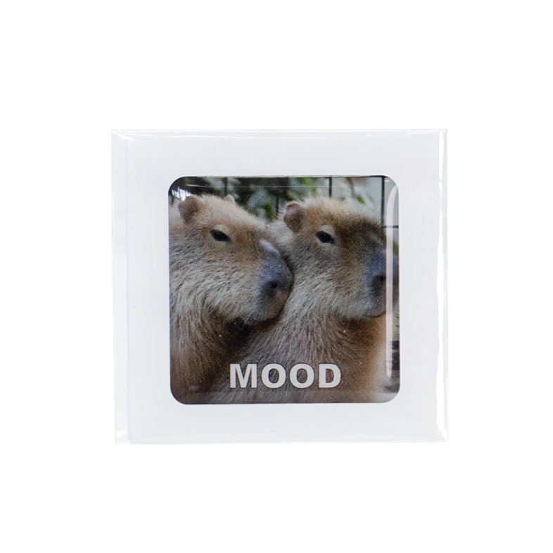 3D sticker Capybara mood 1 pc.