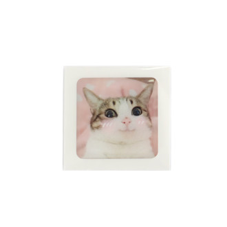 3D sticker Cute kitten 1 pc.