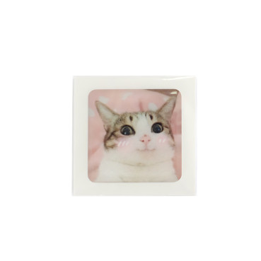 3D sticker Cute kitten 1 pc.
