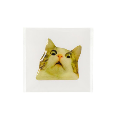 3D sticker Surprised kitten 1 pc.