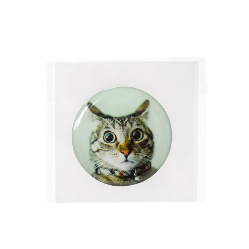 3D sticker Observing Kitten 1 pc.