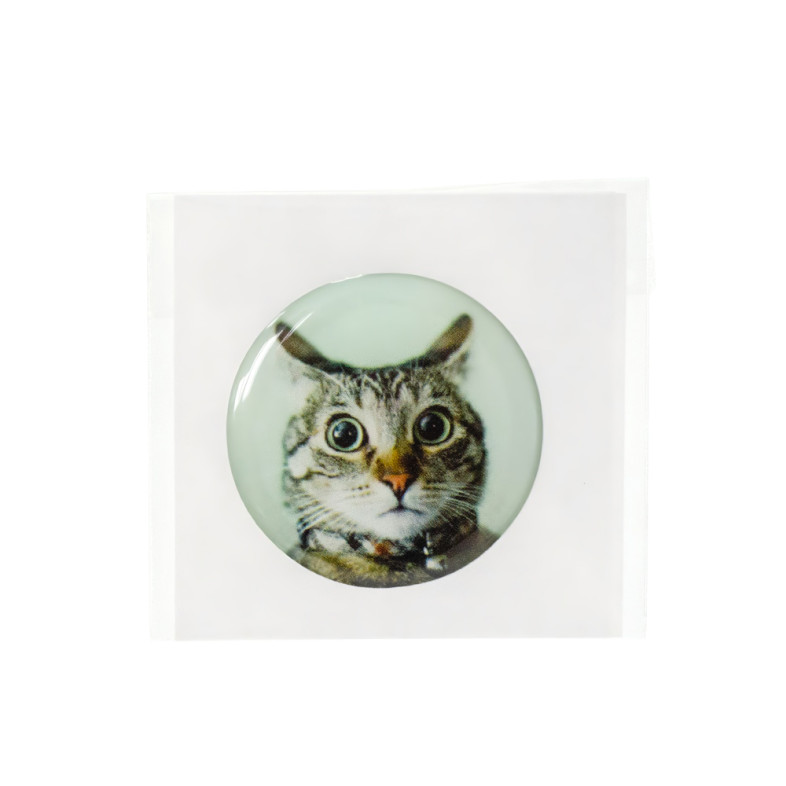 3D sticker Observing Kitten 1 pc.