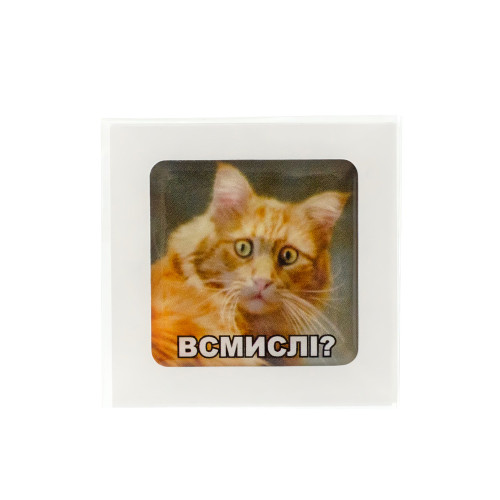 3D sticker Shocked kitten 1 pc.
